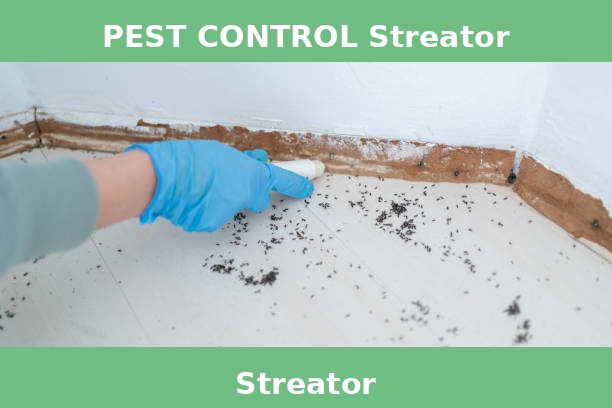 PEST CONTROL Streator